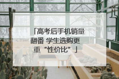 高考后手机销量翻番 学生选购更重“性价比”