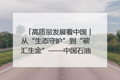 高质量发展看中国｜从“生态守护”到“碳汇生金”——中国石油大庆油田绿色蝶变