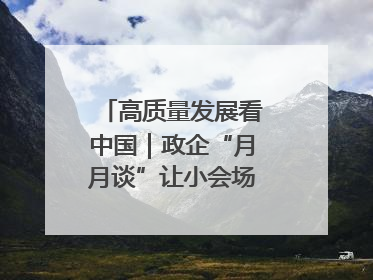 高质量发展看中国｜政企“月月谈”让小会场撬动大营商