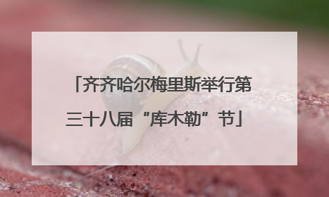 齐齐哈尔梅里斯举行第三十八届“库木勒”节