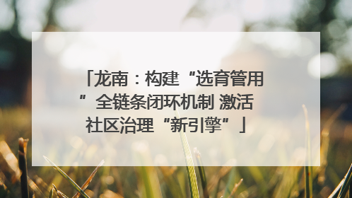 龙南：构建“选育管用”全链条闭环机制 激活社区治理“新引擎”