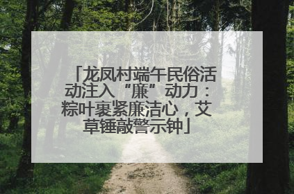 龙凤村端午民俗活动注入“廉”动力：粽叶裹紧廉洁心，艾草锤敲警示钟