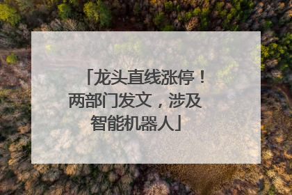 龙头直线涨停！两部门发文，涉及智能机器人