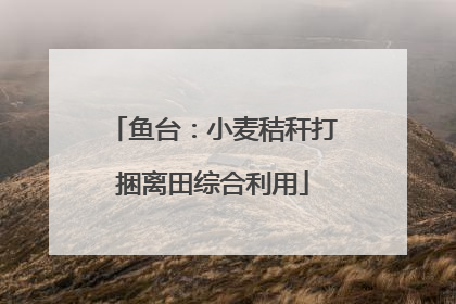 鱼台：小麦秸秆打捆离田综合利用