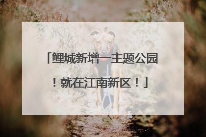 鲤城新增一主题公园！就在江南新区！