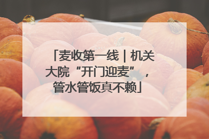 麦收第一线｜机关大院“开门迎麦”，管水管饭真不赖