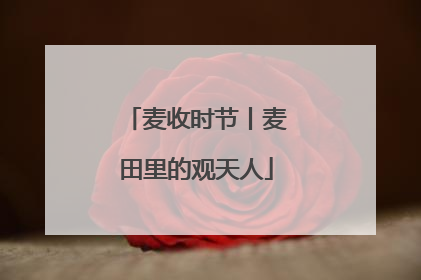 麦收时节丨麦田里的观天人
