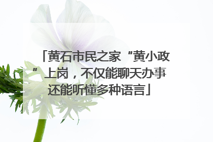 黄石市民之家“黄小政”上岗，不仅能聊天办事还能听懂多种语言