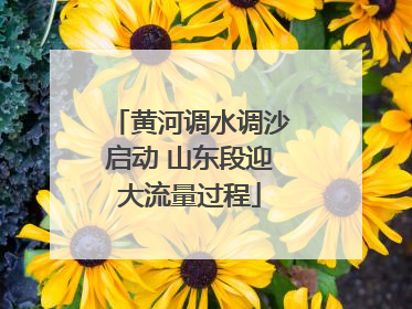 黄河调水调沙启动 山东段迎大流量过程