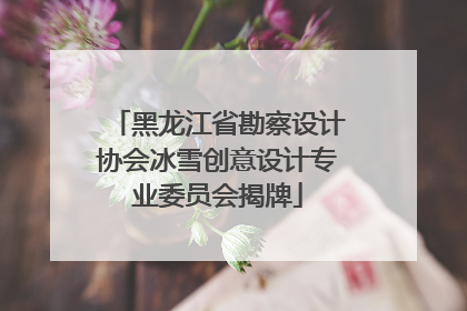 黑龙江省勘察设计协会冰雪创意设计专业委员会揭牌