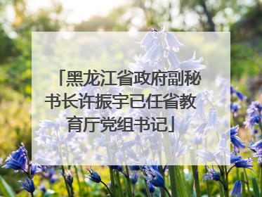 黑龙江省政府副秘书长许振宇已任省教育厅党组书记