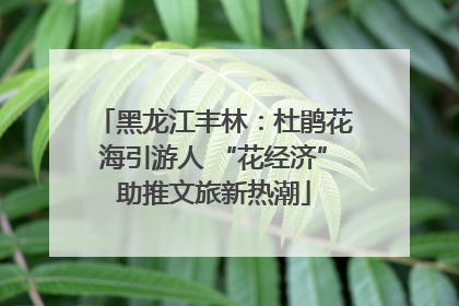 黑龙江丰林：杜鹃花海引游人 “花经济”助推文旅新热潮