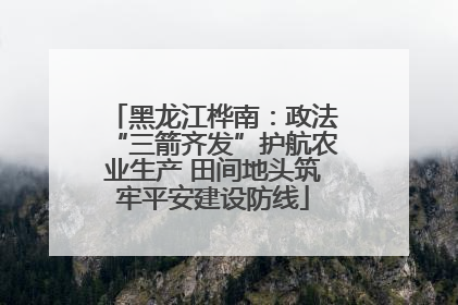 黑龙江桦南：政法“三箭齐发”护航农业生产 田间地头筑牢平安建设防线