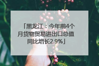 黑龙江：今年前4个月货物贸易进出口总值同比增长2.9%