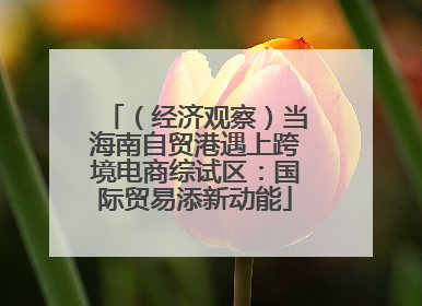 （经济观察）当海南自贸港遇上跨境电商综试区：国际贸易添新动能