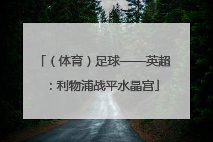 （体育）足球——英超：利物浦战平水晶宫
