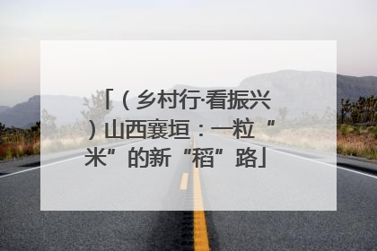 （乡村行·看振兴）山西襄垣：一粒“米”的新“稻”路