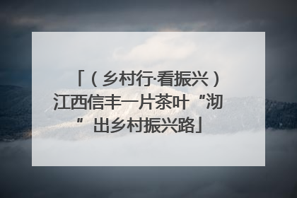 （乡村行·看振兴）江西信丰一片茶叶“沏”出乡村振兴路
