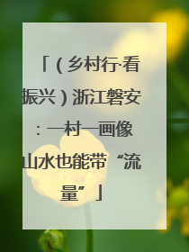 （乡村行·看振兴）浙江磐安：一村一画像 山水也能带“流量”