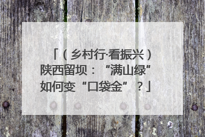 （乡村行·看振兴）陕西留坝：“满山绿”如何变“口袋金”？