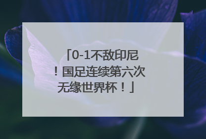 0-1不敌印尼！国足连续第六次无缘世界杯！