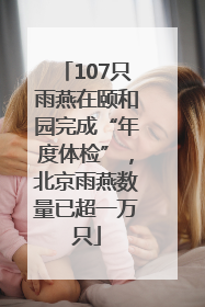 107只雨燕在颐和园完成“年度体检”，北京雨燕数量已超一万只