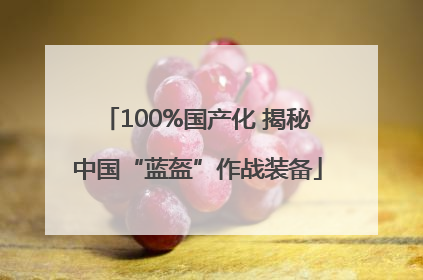 100%国产化 揭秘中国“蓝盔”作战装备