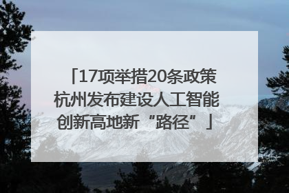 17项举措20条政策 杭州发布建设人工智能创新高地新“路径”