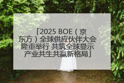 2025 BOE（京东方）全球供应伙伴大会隆重举行 共筑全球显示产业共生共赢新格局
