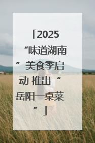 2025“味道湖南”美食季启动 推出“岳阳一桌菜”