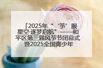 2025年“‘筝’服星空·逐梦启航”——和平区第三届风筝节闭幕式 暨2025全国青少年风筝制作放飞赛（沈阳站）颁奖仪式