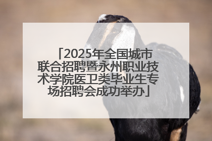 2025年全国城市联合招聘暨永州职业技术学院医卫类毕业生专场招聘会成功举办