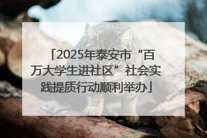 2025年泰安市“百万大学生进社区”社会实践提质行动顺利举办