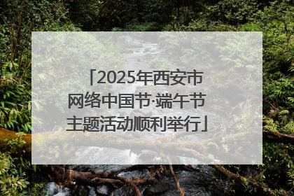 2025年西安市网络中国节·端午节主题活动顺利举行