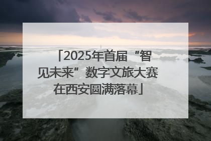 2025年首届“智见未来”数字文旅大赛在西安圆满落幕