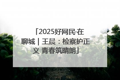 2025好网民·在聊城｜王晨：检察护正义 青春筑晴朗
