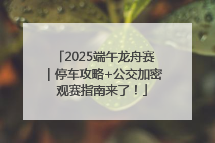 2025端午龙舟赛｜停车攻略+公交加密 观赛指南来了！