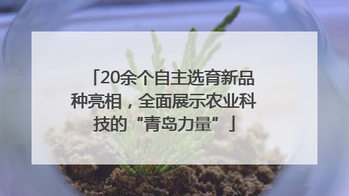 20余个自主选育新品种亮相，全面展示农业科技的“青岛力量”