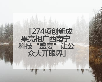 274项创新成果亮相广西南宁 科技“盛宴”让公众大开眼界