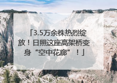 3.5万余株热烈绽放！日照这座高架桥变身“空中花廊”！