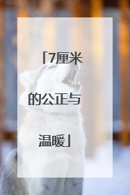 7厘米的公正与温暖