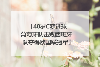 40岁C罗进球 葡萄牙队击败西班牙队夺得欧国联冠军