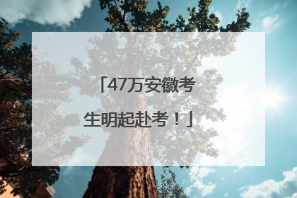 47万安徽考生明起赴考！