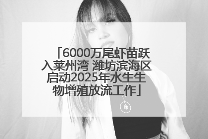 6000万尾虾苗跃入莱州湾 潍坊滨海区启动2025年水生生物增殖放流工作
