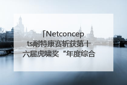 Netconcepts耐特康赛斩获第十六届虎啸奖“年度综合服务商”大奖